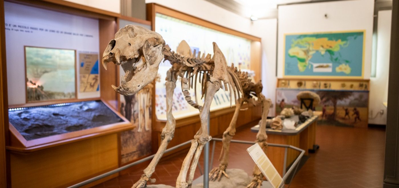 Alla scoperta delle origini della vita sul pianeta Terra