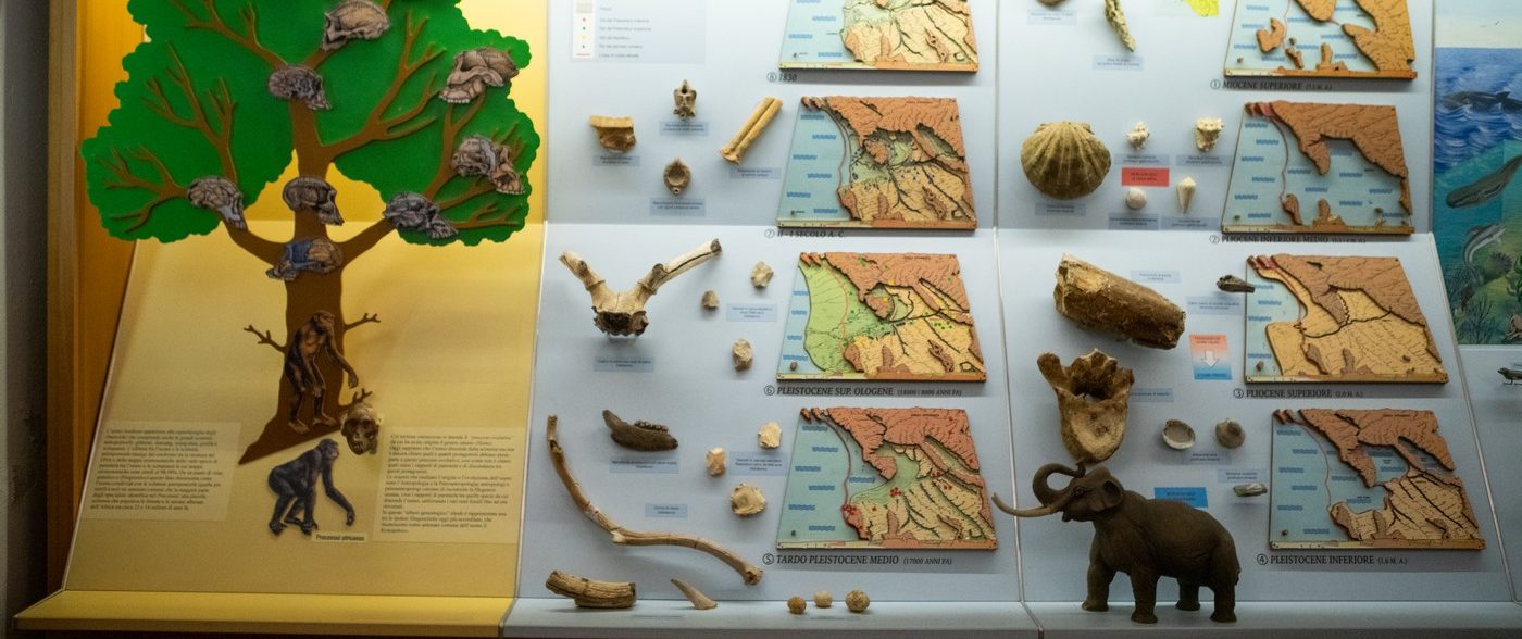 P1 La paleontologia e la vita sulla terra