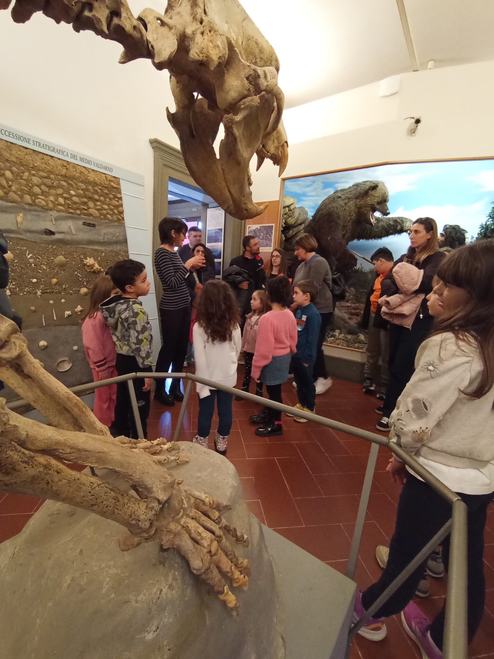 Domeniche al Museo: Scienza, Design e Arte a Misura di Famiglia!